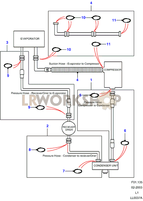 Schema Tubo Flessibile - Tranne V8 Efi Part Diagram