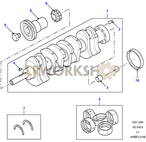 Crankshaft & Bearings Part Diagram