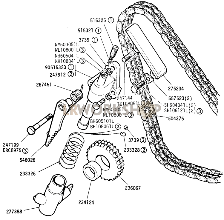 Timing Chain and Tensioner Part Diagram
