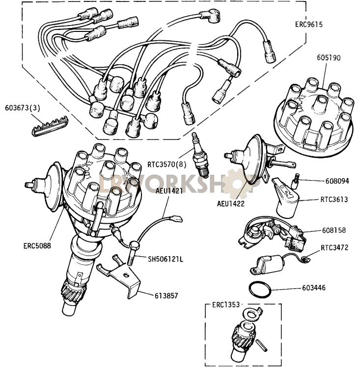 Distributor and Ignition Harness (Detoxed Engine) Part Diagram