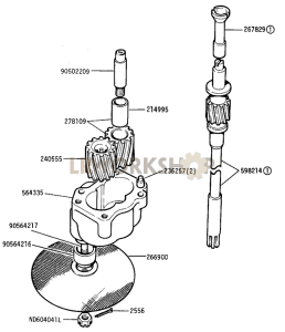 OIl Pump Gears, Drive Shaft and Body Part Diagram