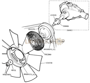 DETOXED ENGINE - Water Pump and Viscous Fan Part Diagram