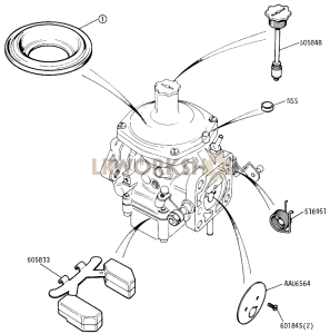 DETOXED ENGINE - Carburetter Components Part Diagram