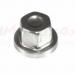 RRJ100120 - Cover-wheel nut, Production Fit